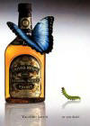 Chivas Regal